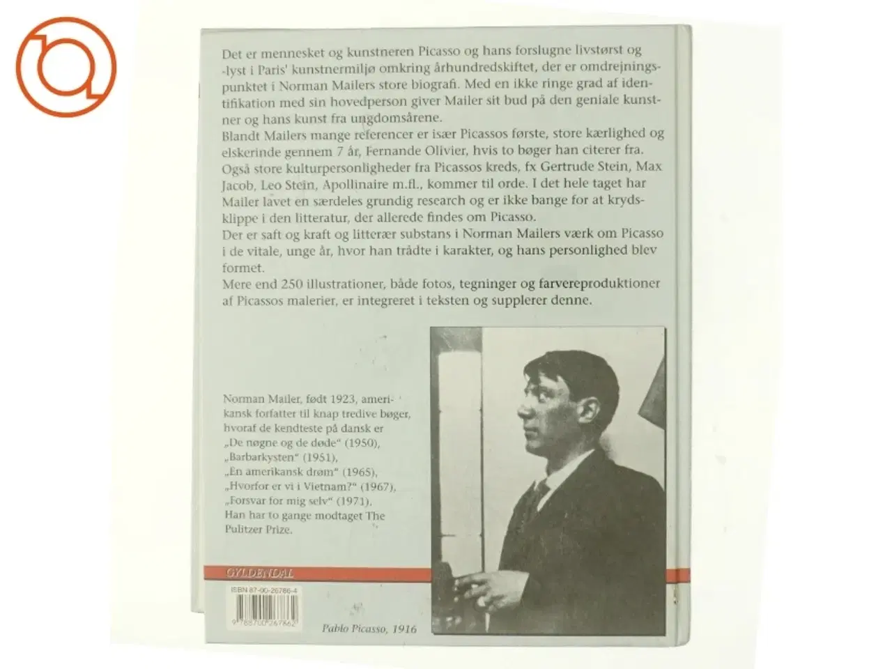Billede 3 - Portræt af den unge Picasso : en biografi af Norman Mailer (Bog)