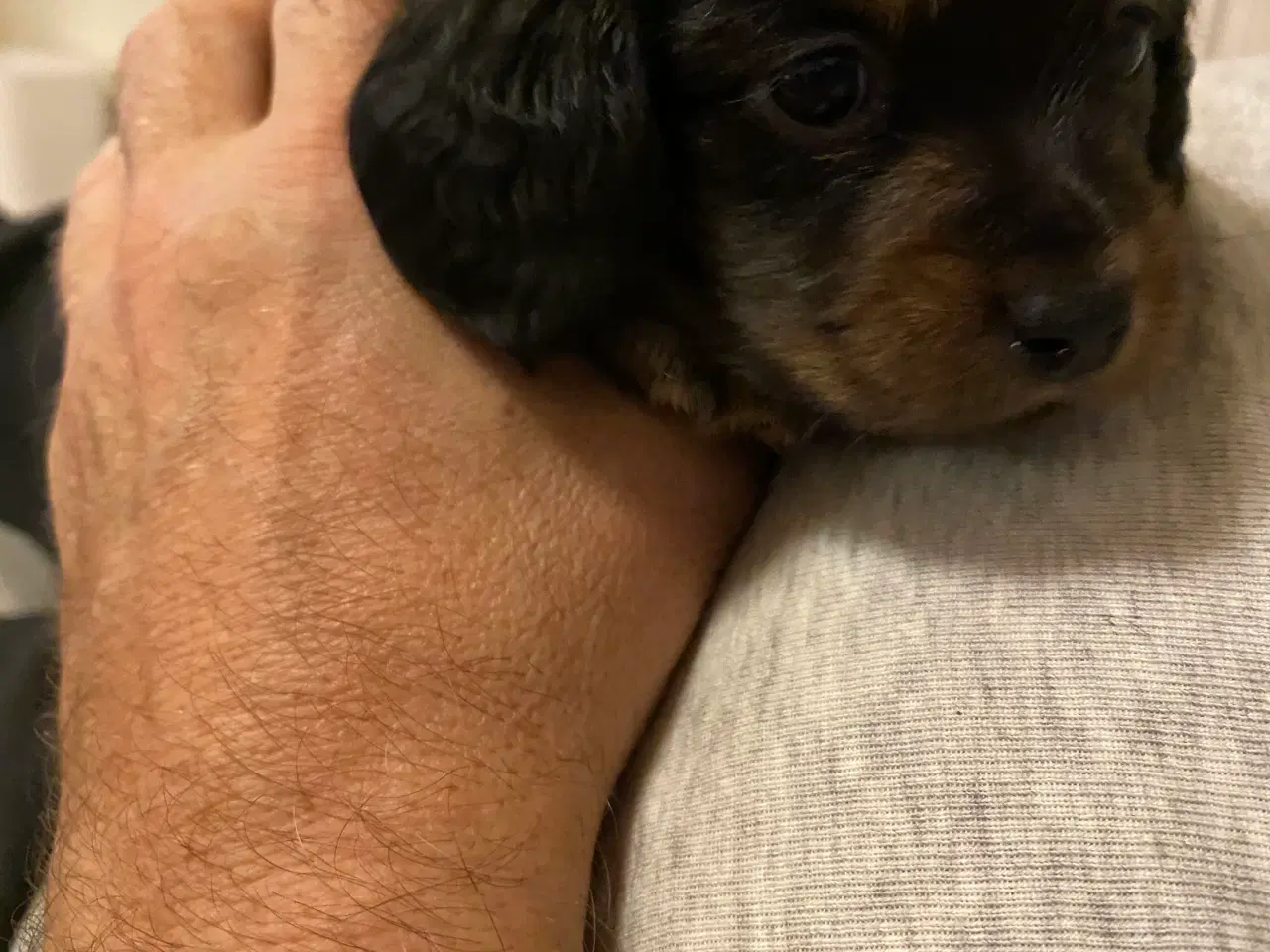 Billede 2 - 1 lille dreng tilbage 