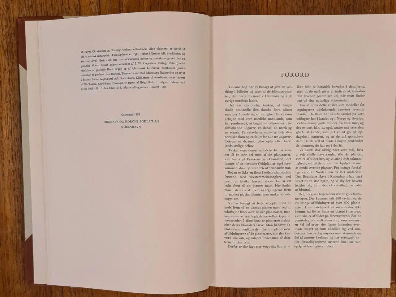 Billede 5 - Danmarks Vilde Planter