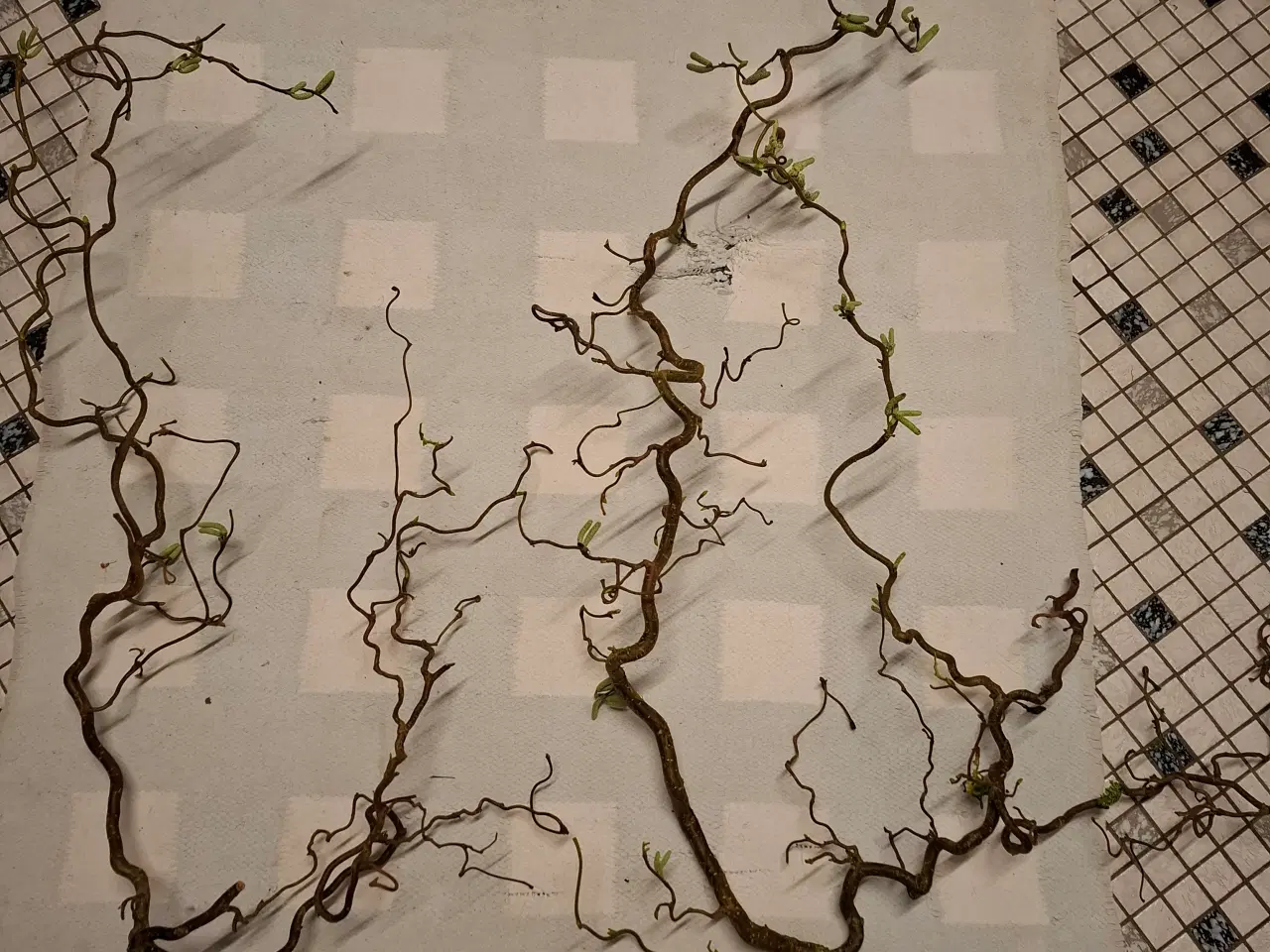 Billede 1 - Troldegrene flere størrelser