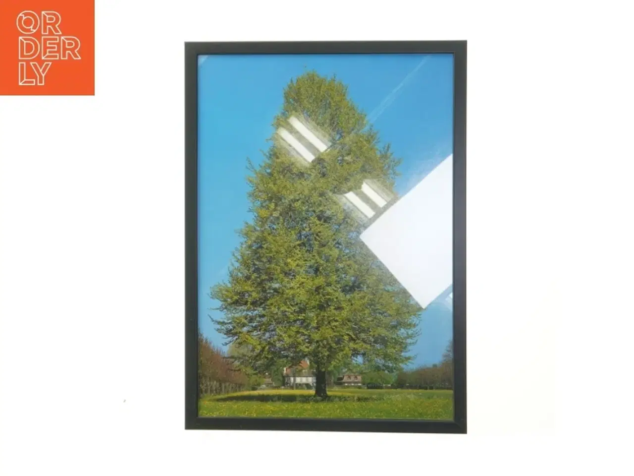 Billede 1 - Billedramme med træmotiv (str. 30x42 cm)