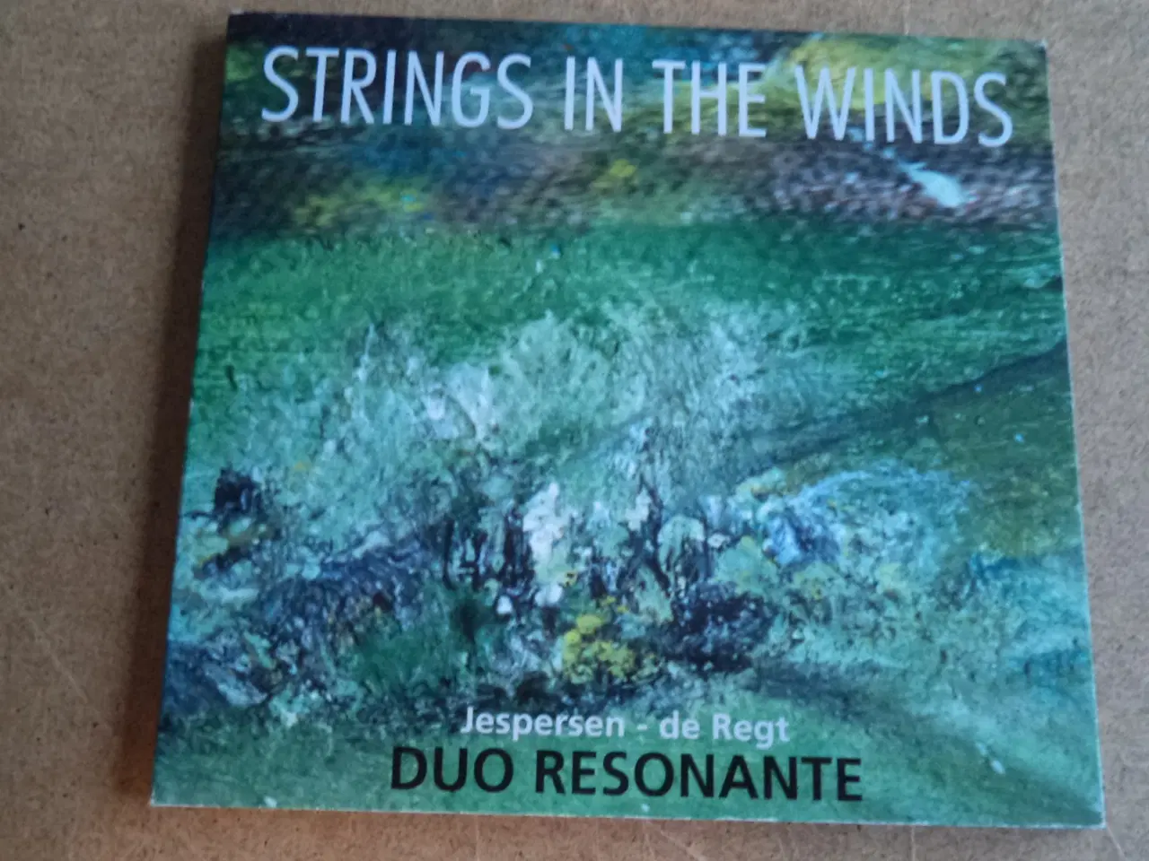 Billede 1 - Duo Resonante ** Strings In The Winds 