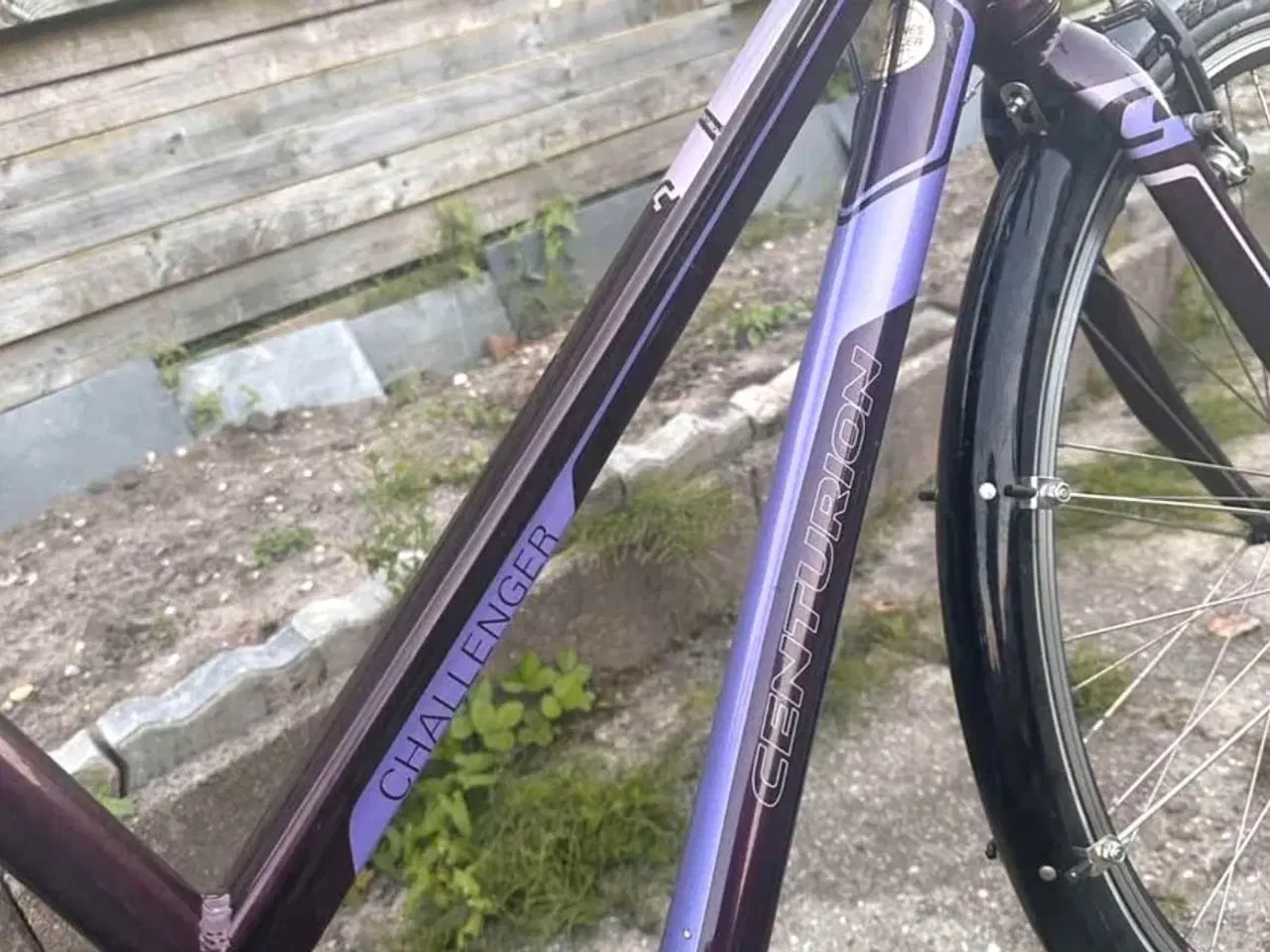 Billede 3 - CENTURİON 51 cm 7 Gear