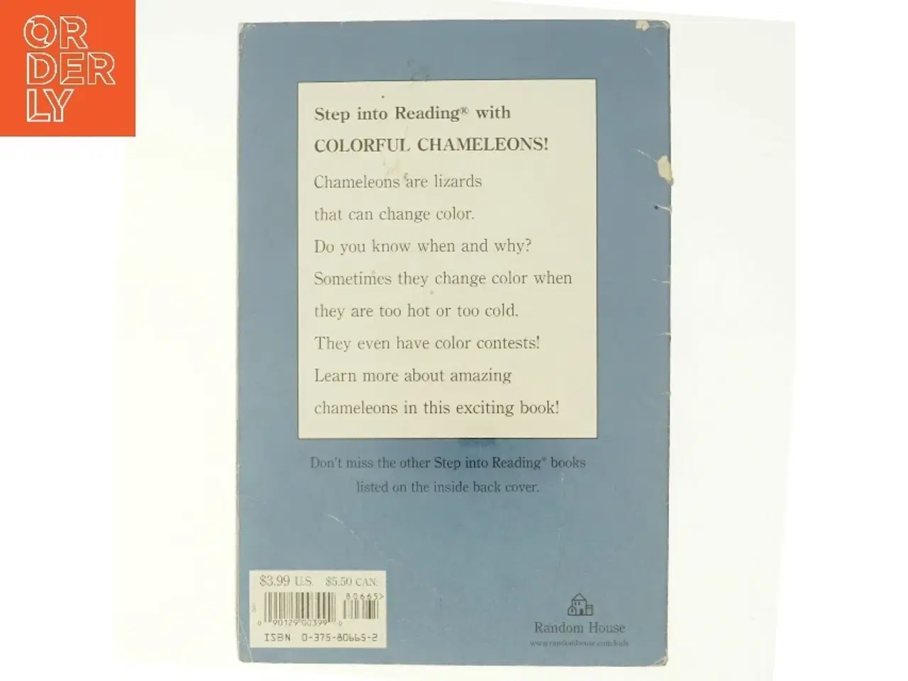 Billede 3 - Colorful chameleons!