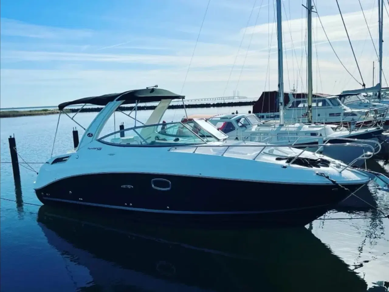 Billede 1 - Searay sundancer 260