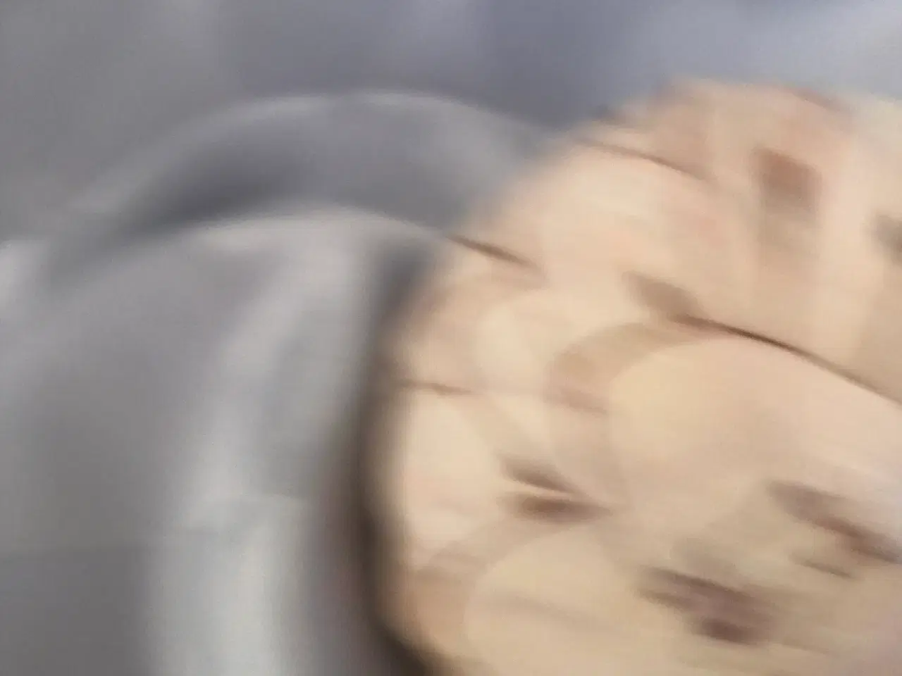 Billede 15 - 2 deco kugler med blade og et bundt med små pinde