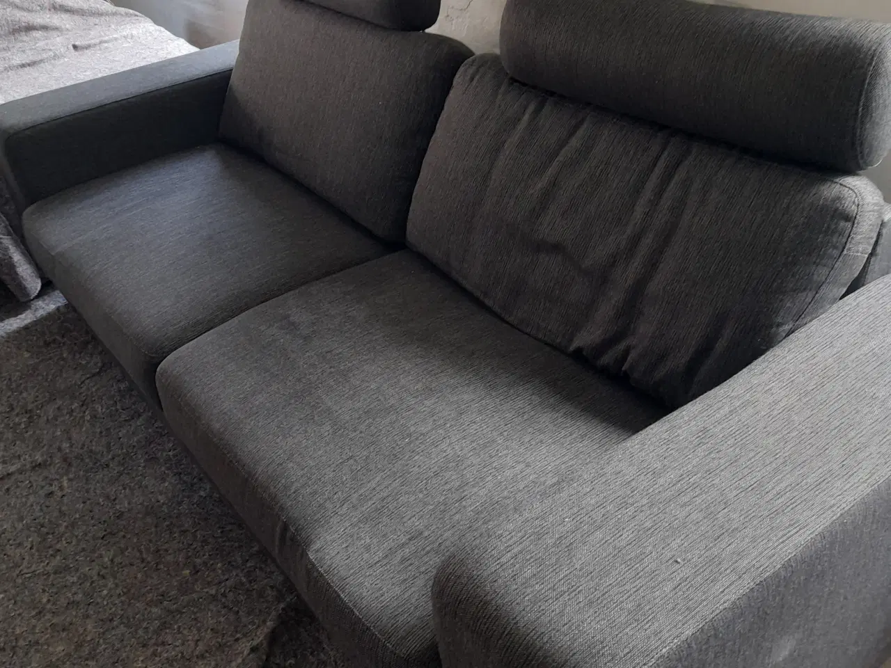 Billede 6 - Hjort knudsen