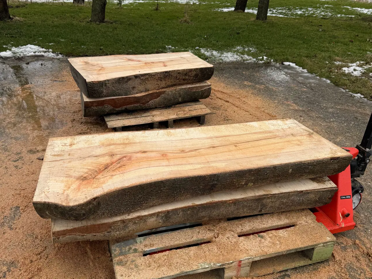 Billede 12 - Træstubbe til bådpladsen