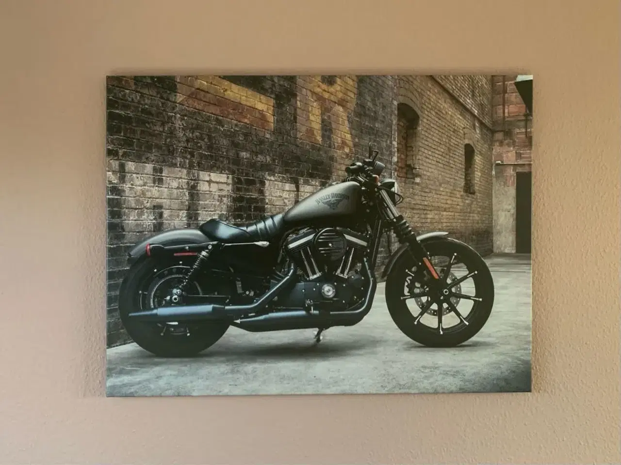 Billede 1 - Harley billede 70x100 cm