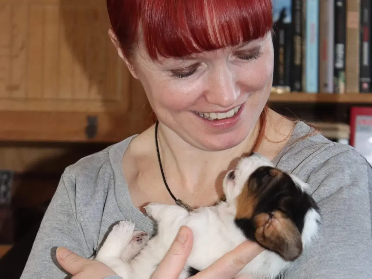 Billede 5 - Border Collie hvalpe 