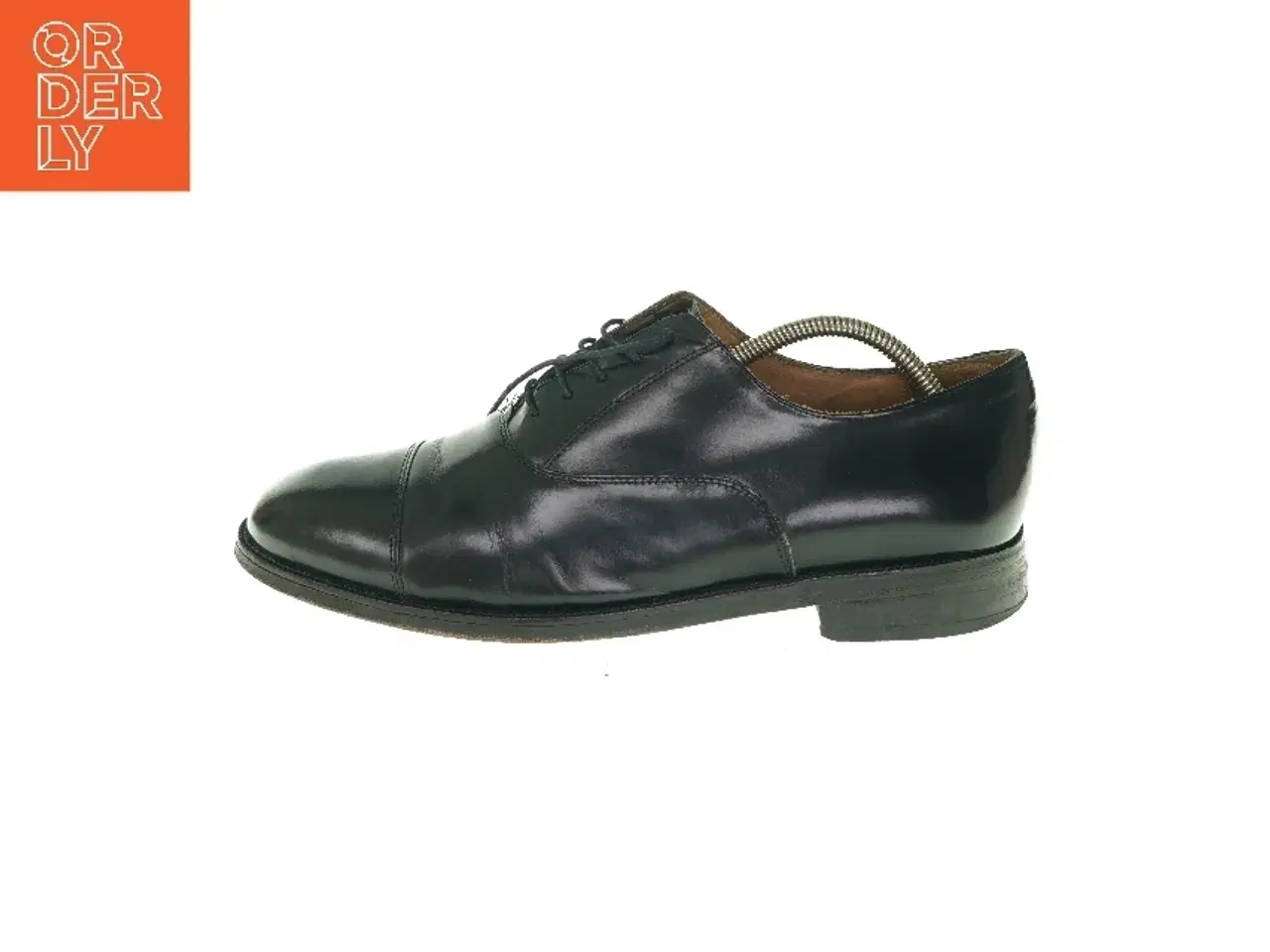 Billede 1 - Sko i læder Skru et læder Siro CITTERIO fra Citterio (str. 44)