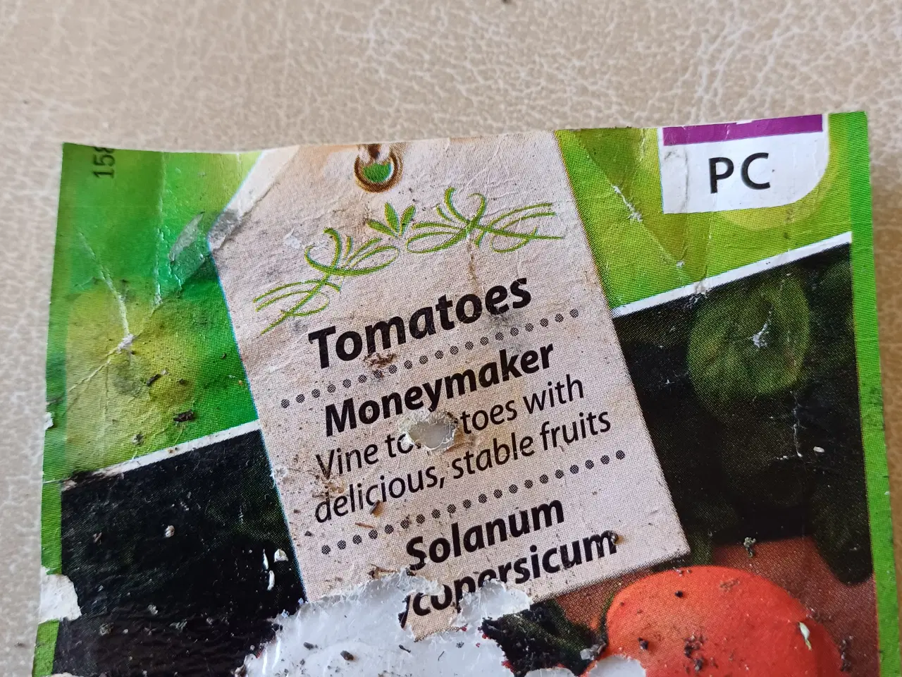 Billede 5 - Tomatplanter mange forskellige