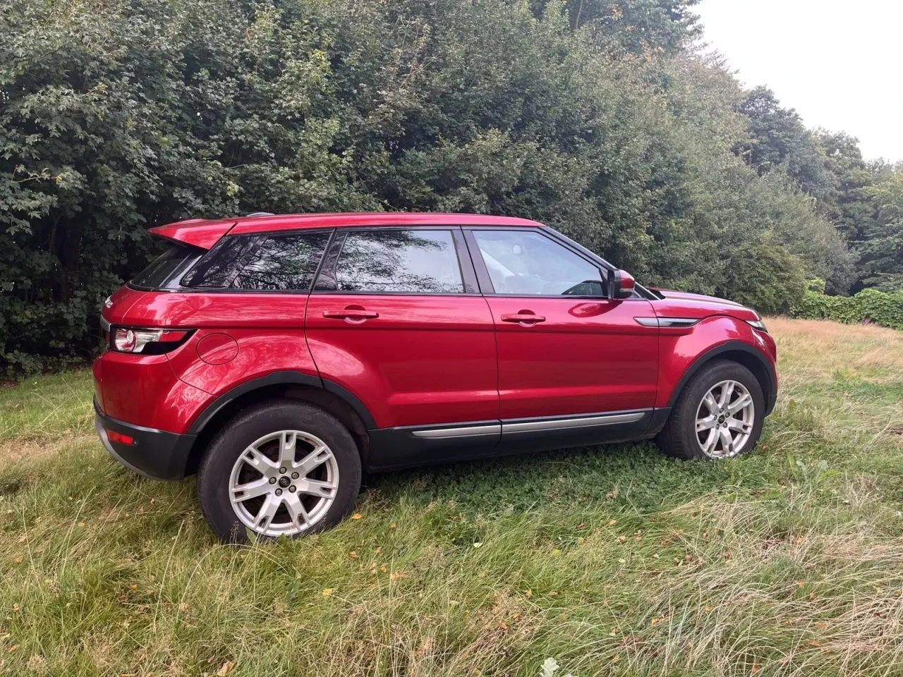 Billede 7 - Land Rover Range Rover Evoque 2,2 TD4 Pure aut.