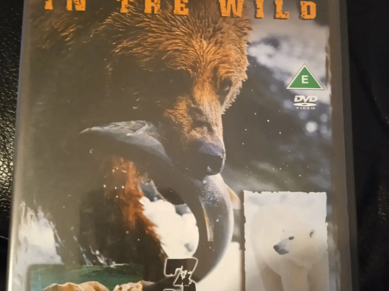 Billede 1 - Big Bears natur film