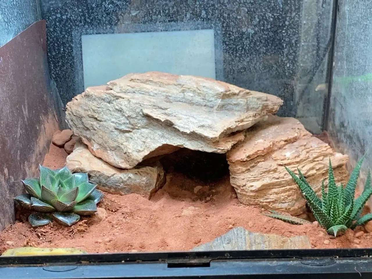 Billede 2 - Terrarier efter ønske – jeg laver/bygger/indretter