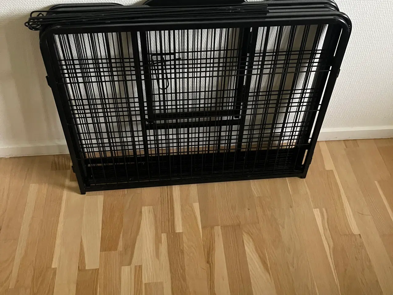 Billede 5 - Hunde/hvalpegård