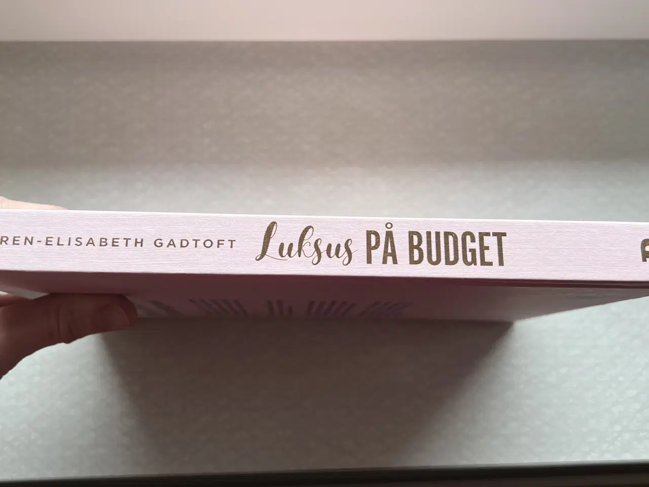 Billede 3 - “Luksus på budget” kogebog. 