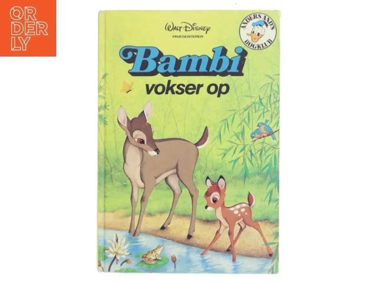Billede 1 - Bambi vokser op (Bog)