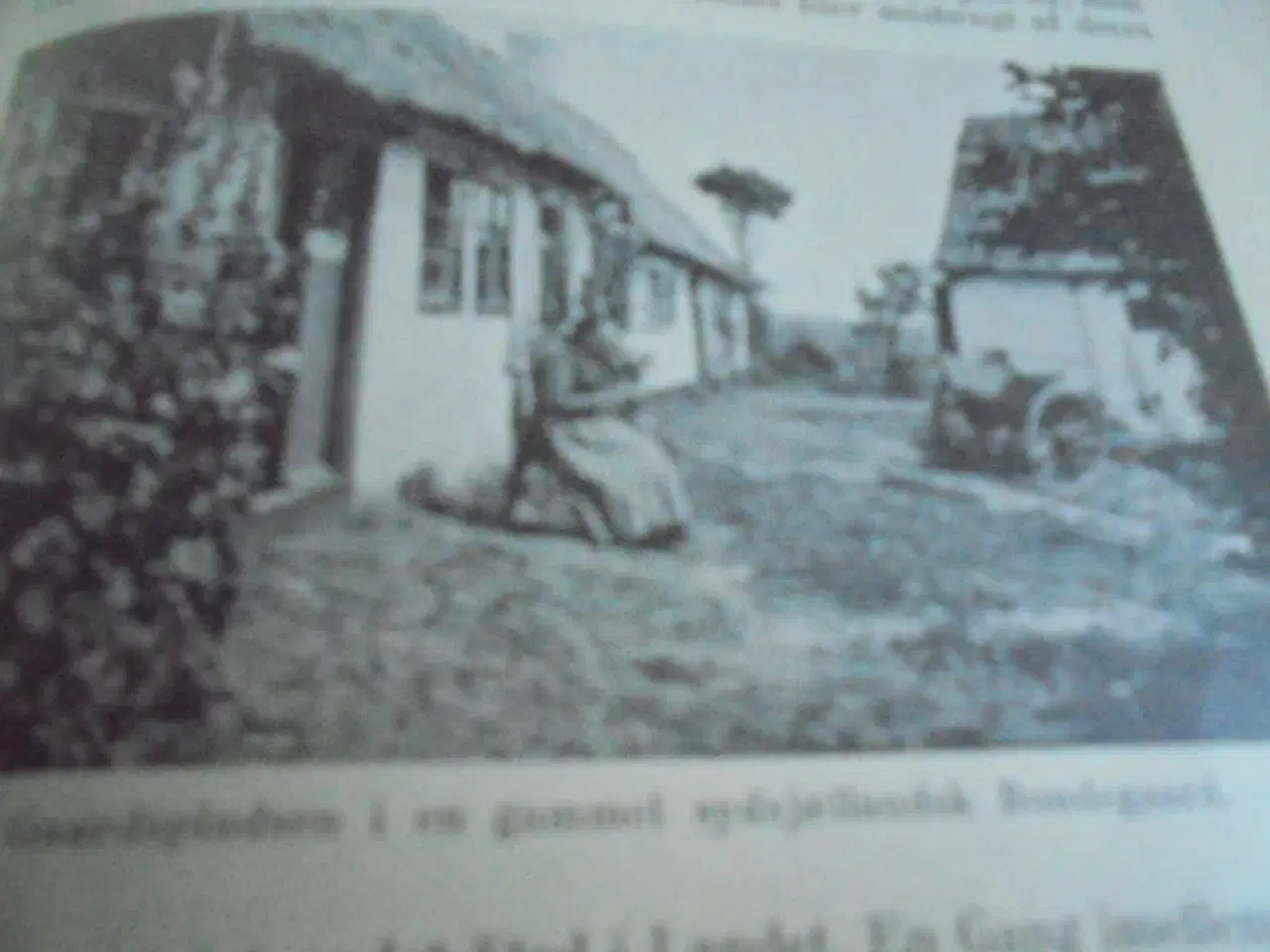 Billede 4 - Danmark – Island – Udg. fra 1938  