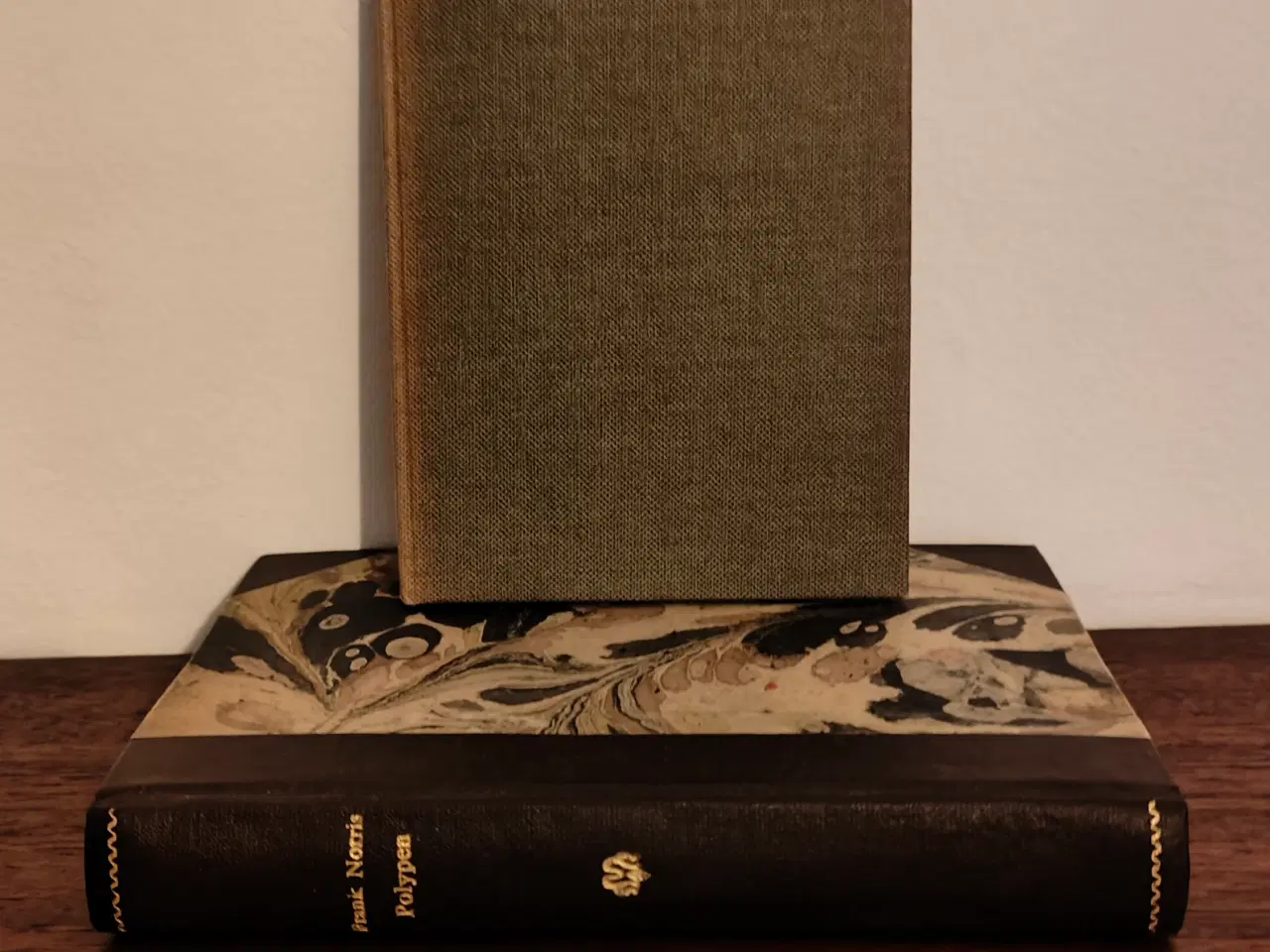 Billede 7 - Samling af antikke bøger 