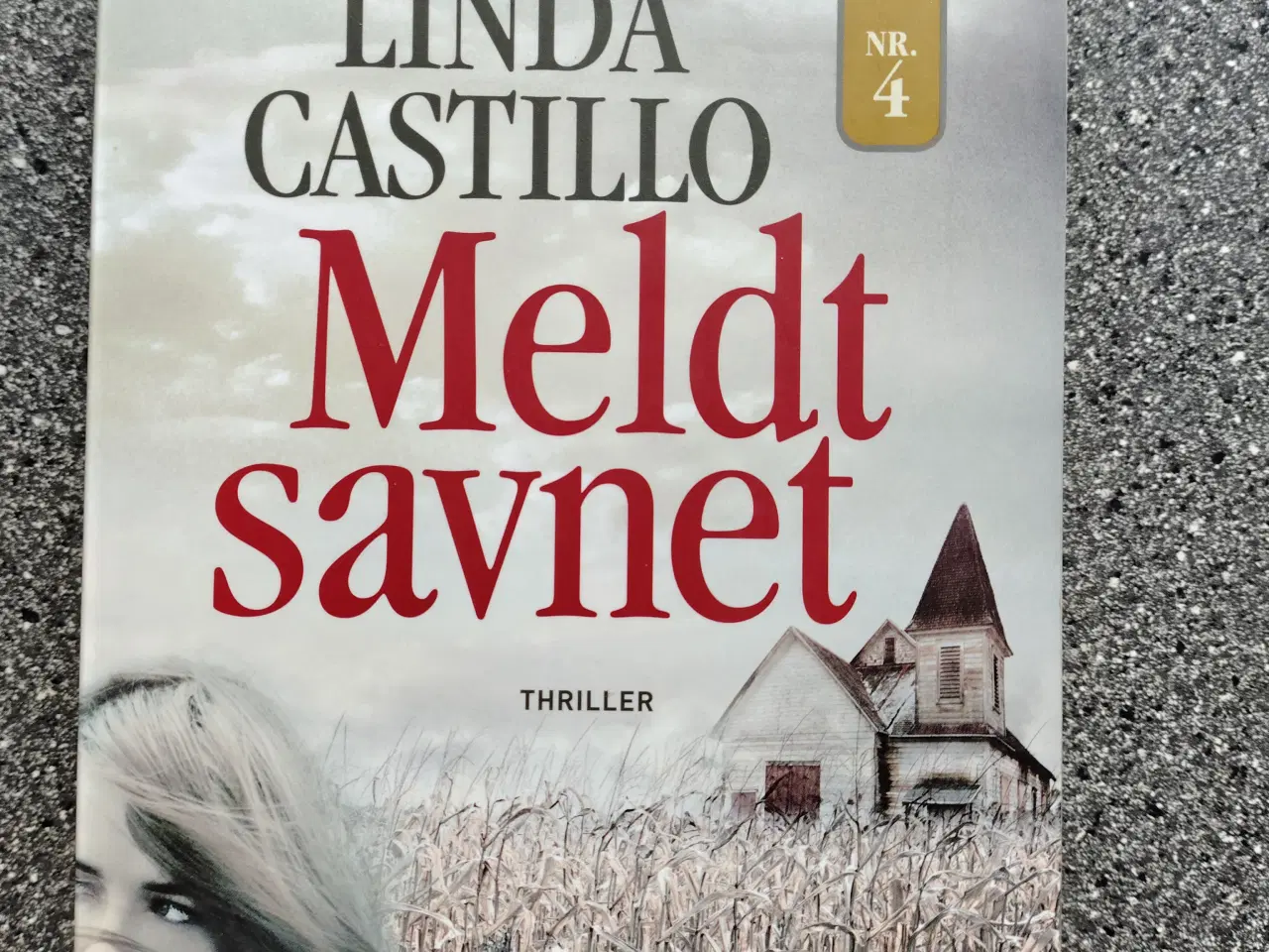 Billede 1 - Meldt savnet - Linda Castillo