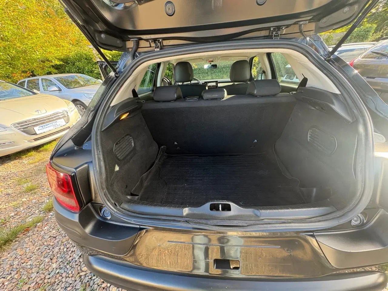 Billede 10 - Citroën C4 Cactus 1,6 e-HDi 92 Shine ETG6