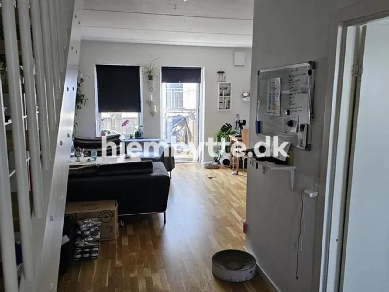 Billede 4 - Hjembytte - Hasselvænget