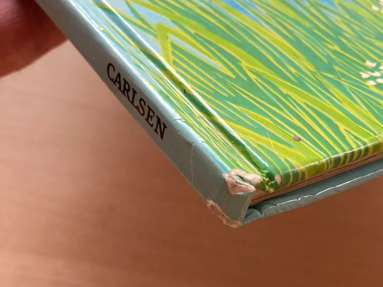 Billede 7 - “Dig og mig og vi to” - børnerim og sange