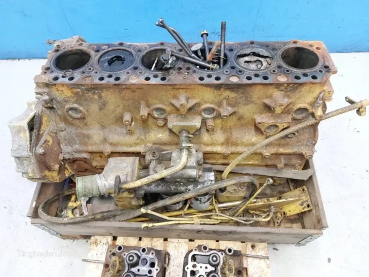 Billede 21 - Iveco 8460 SRI 10 Motor