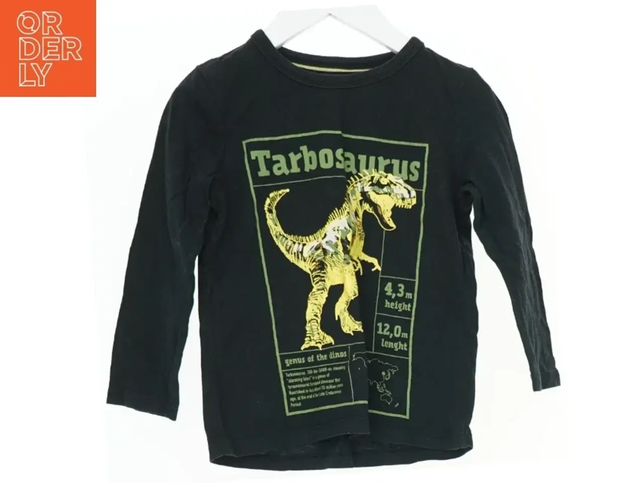 Billede 1 - Langærmet T-shirt med dinosaurtryk fra Little Kids (str. 110)