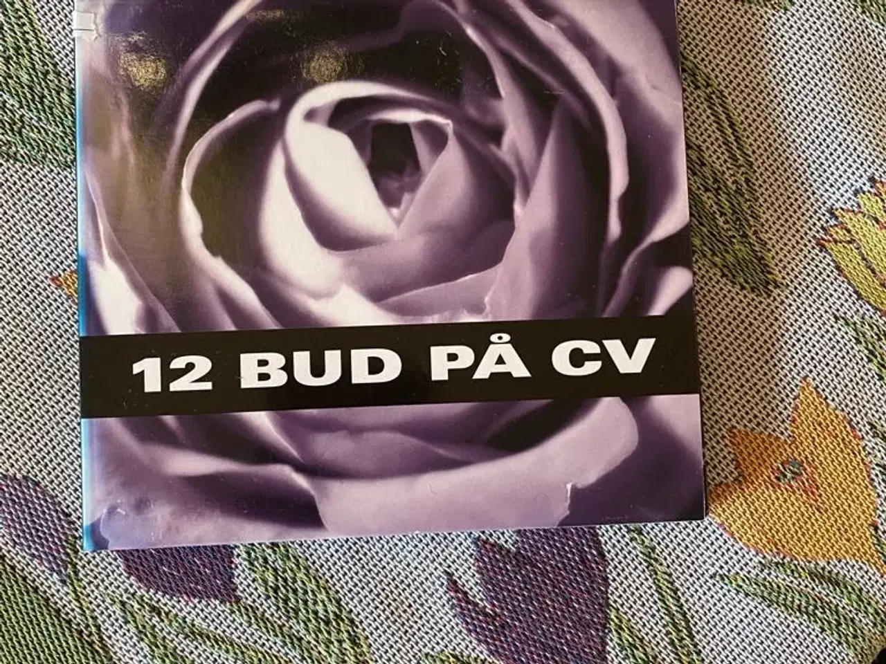 Billede 1 - 12 bud på CV