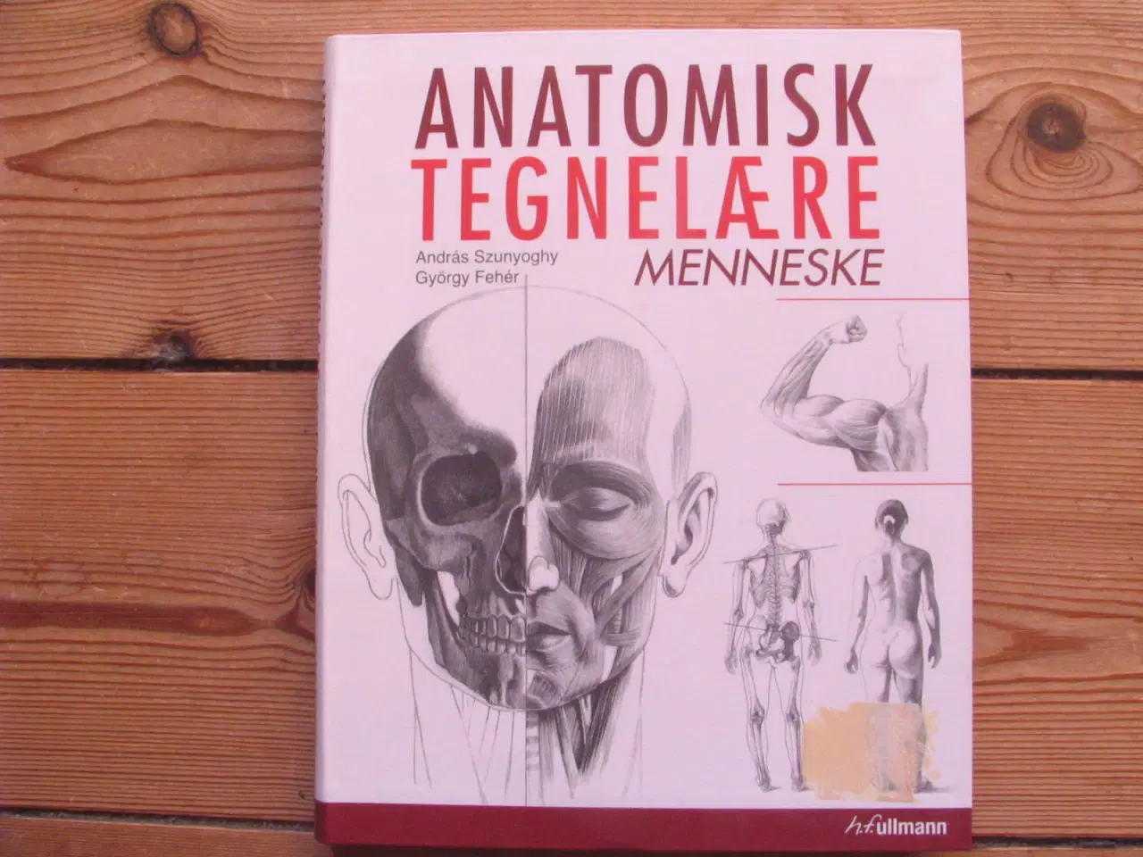 Billede 1 - Anatomisk tegnelære Menneske