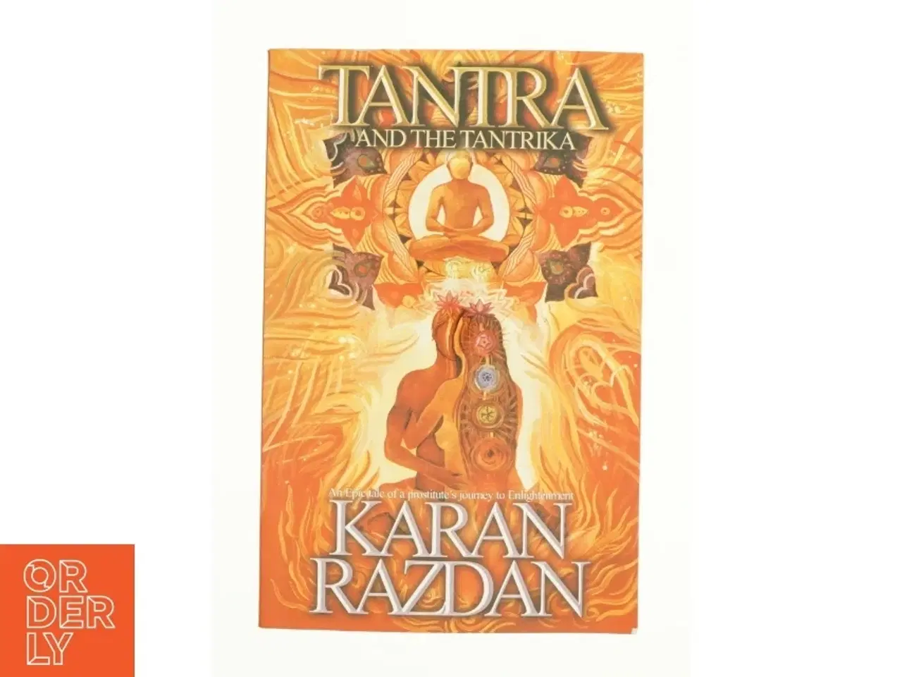 Billede 1 - Tantra and the tantrika af Karan Razdan (Bog)