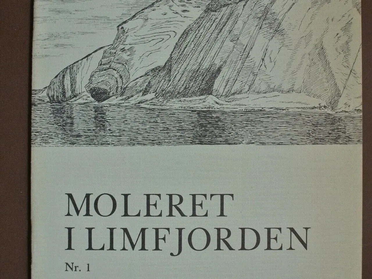 Billede 1 - moleret i limfjorden, emne: natur og teknik