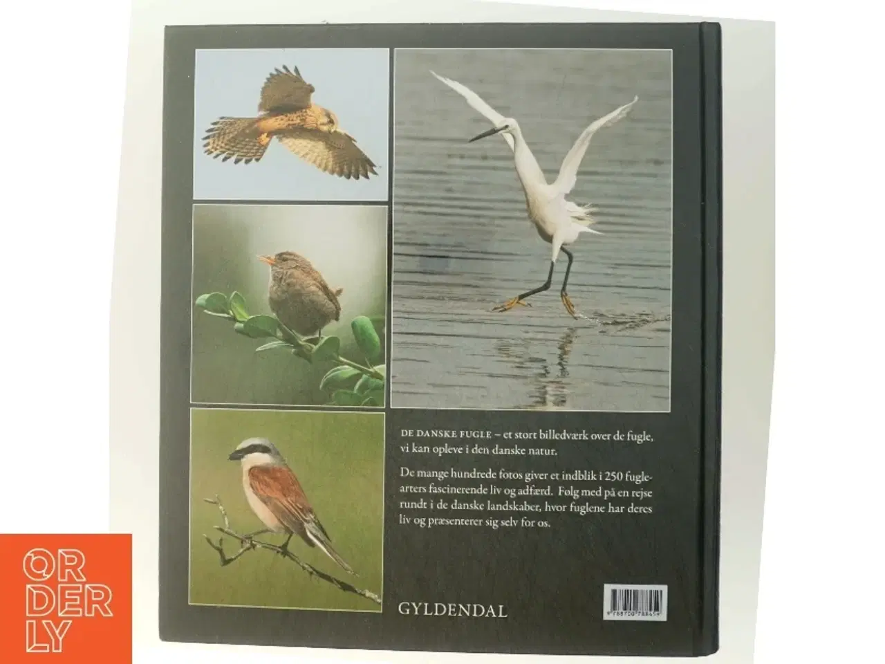 Billede 3 - De Danske Fugle bog fra Gyldendal