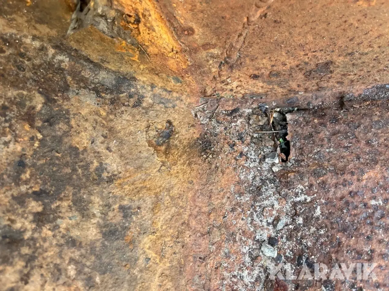 Billede 10 - Siloskovl Trima Siloskovl 150-W