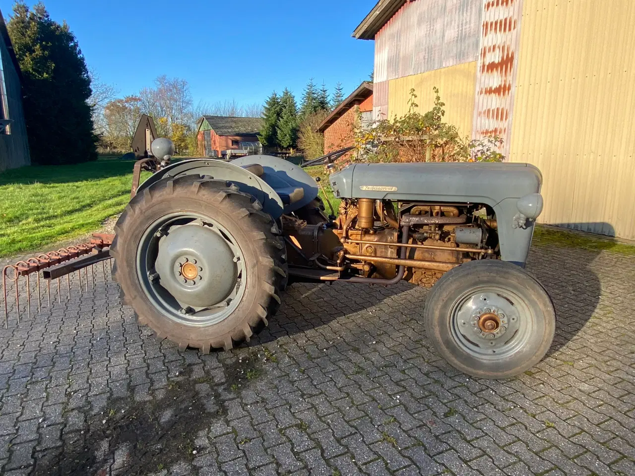 Billede 7 - Ferguson 35 Guldfugl