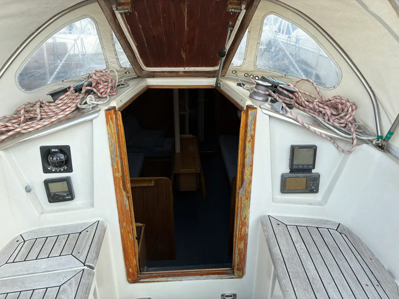 Billede 4 - Blue Dane 32