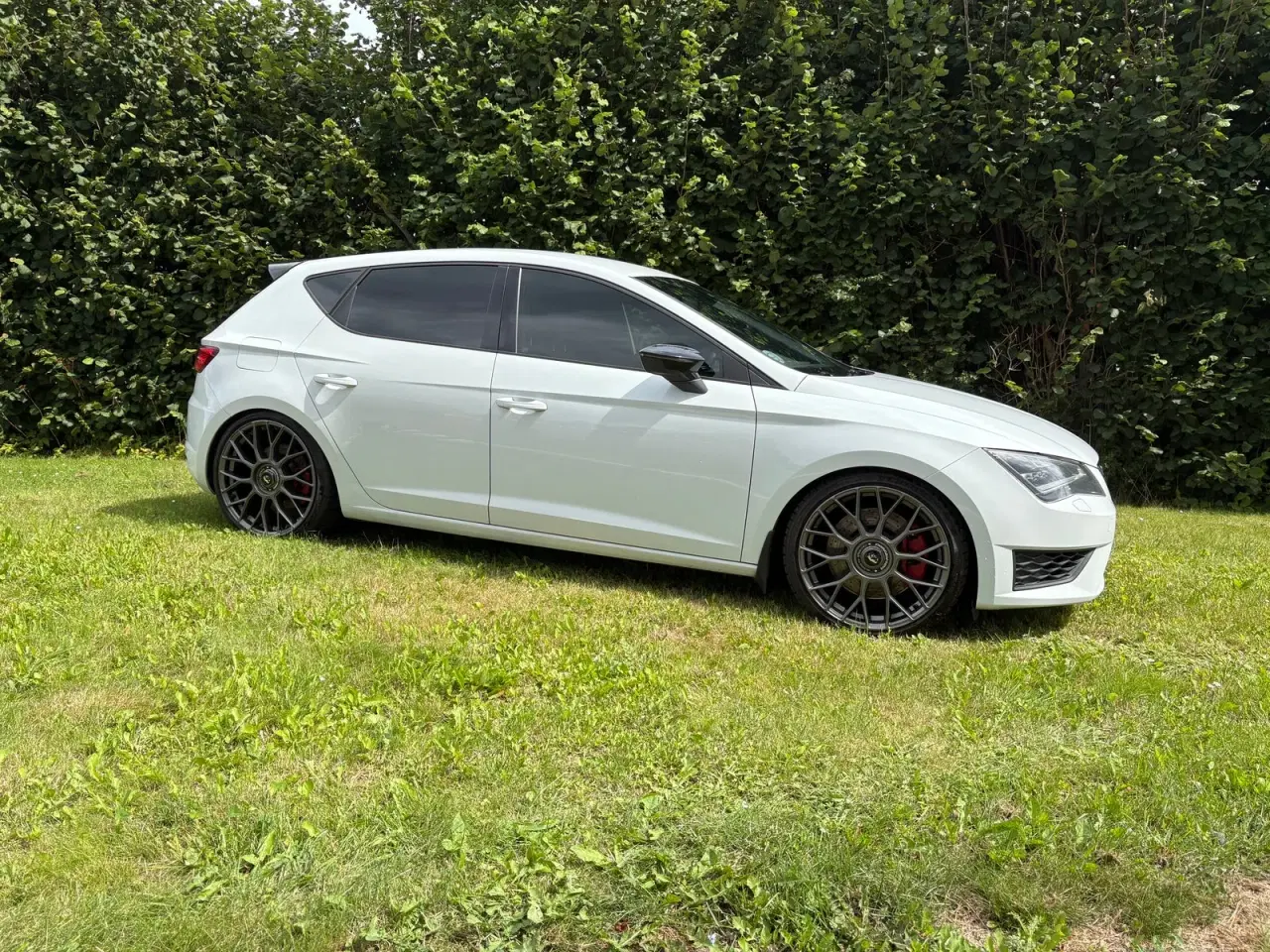 Billede 4 - Seat Leon 2,0 TSi 280 Cupra DSG