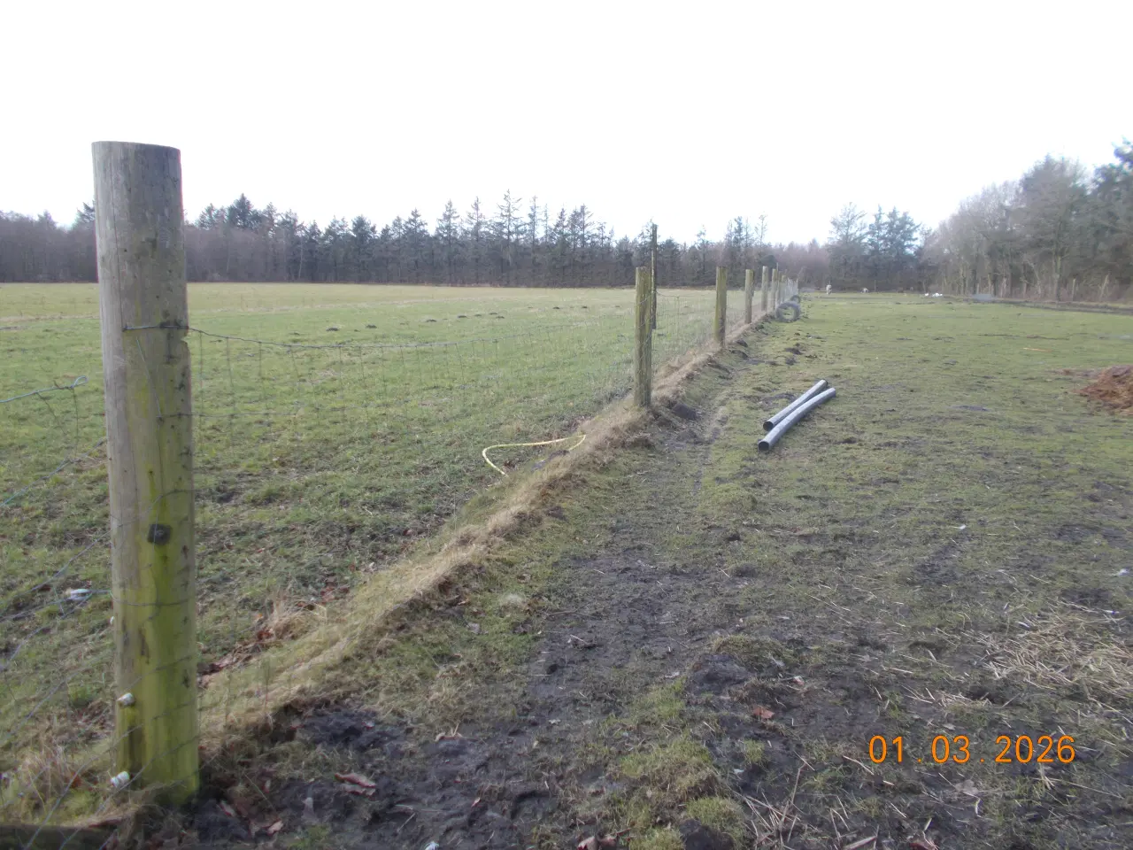 Billede 1 - hegn