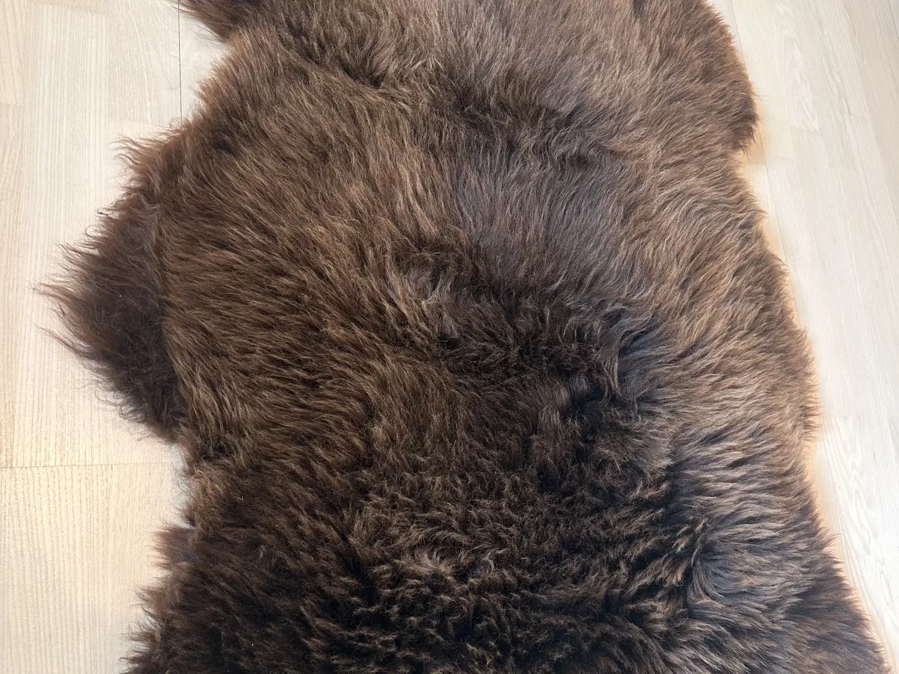 Billede 3 - Helt nyt dansk lammeskind