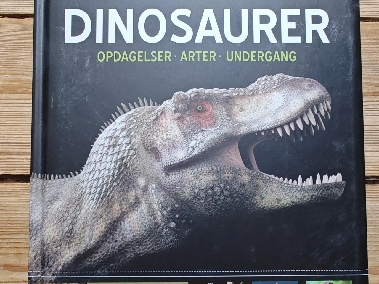 Billede 1 - Viden om verden Dinosaurer Opdagelser Arter Underg