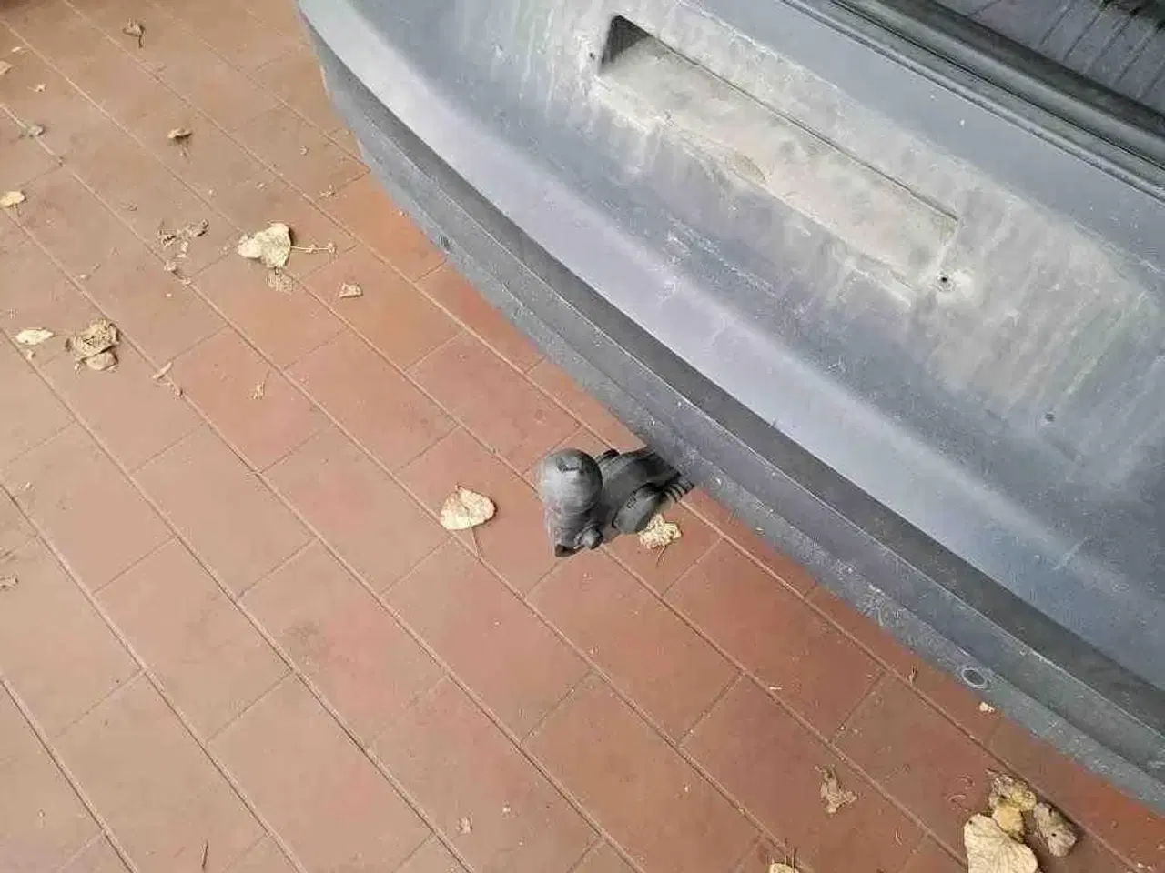 Billede 11 - VW ID.4 77 Pro Performance