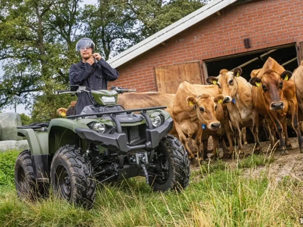 Billede 9 - Yamaha Kodiak 450 EPS Diff-lock Traktor