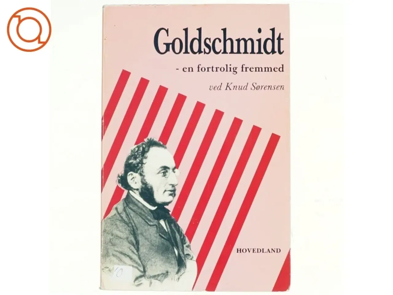 Billede 1 - Goldschmidt - en fortrolig fremmed af Knud Sørensen (bog)
