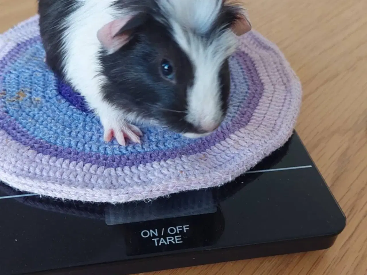 Billede 4 - 3 søde unger