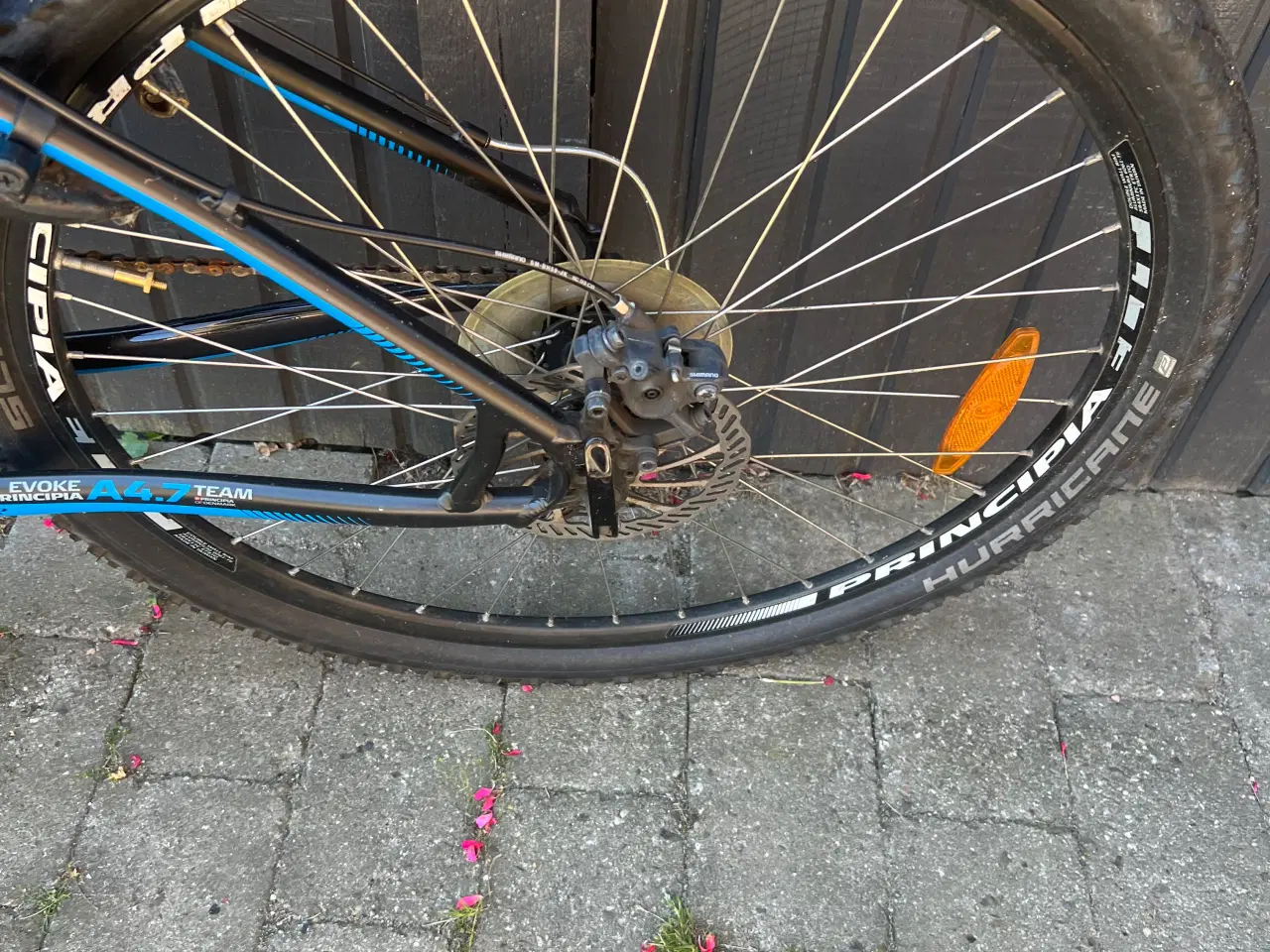 Billede 2 - Principia mountainbike 