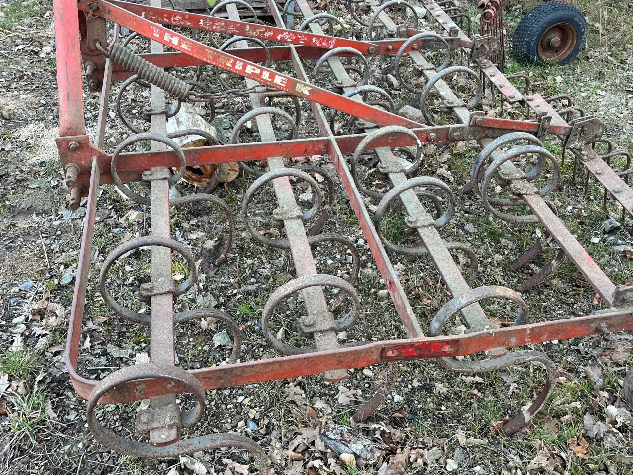 Billede 3 - Kongskilde