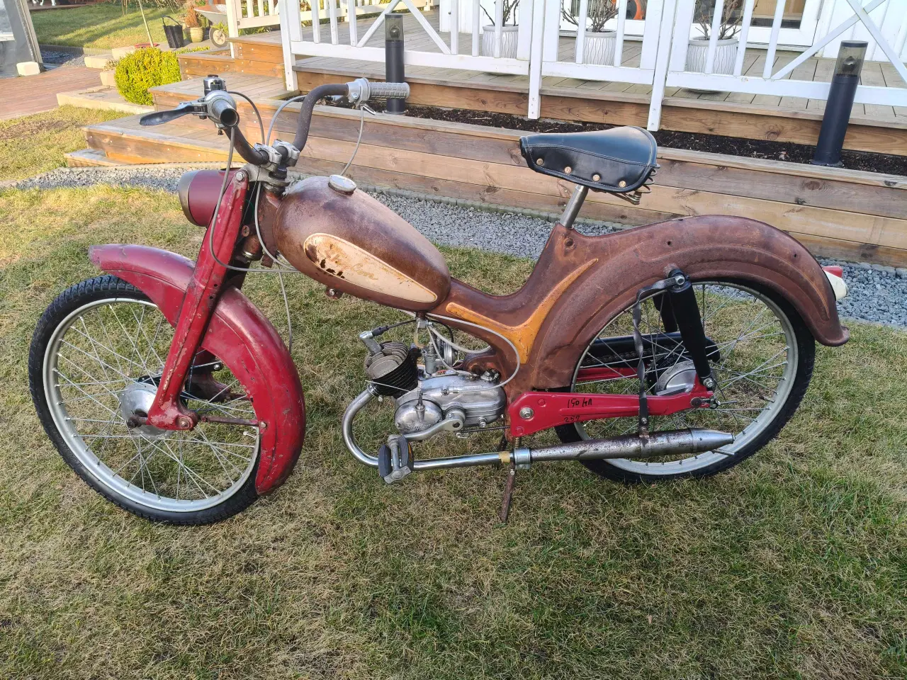 Billede 4 - Skylon alidania