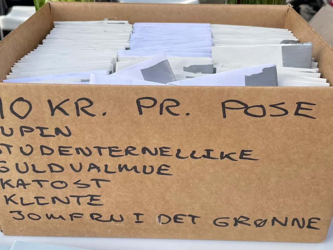 Billede 4 - Honning fra egen bigård, sælges